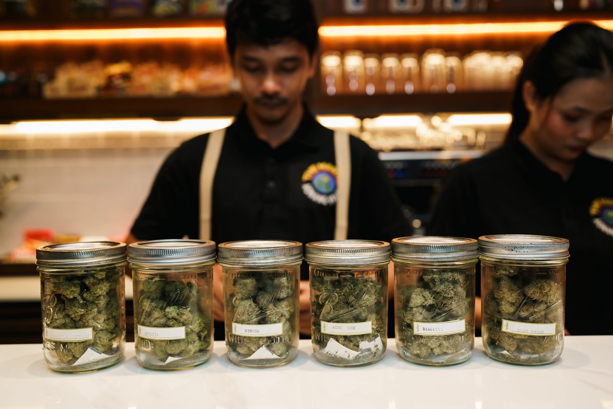 Budtenders behind a row of glass strain jars at Coffeeshop The Mantis, Ao Nang