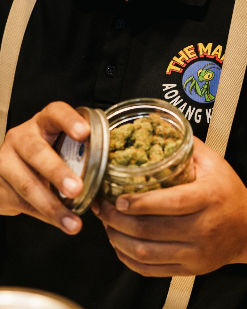 Glass-jar cured cannabis flower at the counter of Coffeeshop The Mantis, Ao Nang